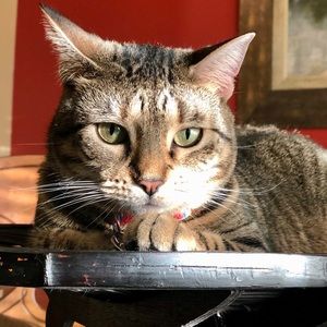 Meet your Posher, Erika